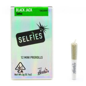 BLACK JACK-MINI PRE-ROLLS